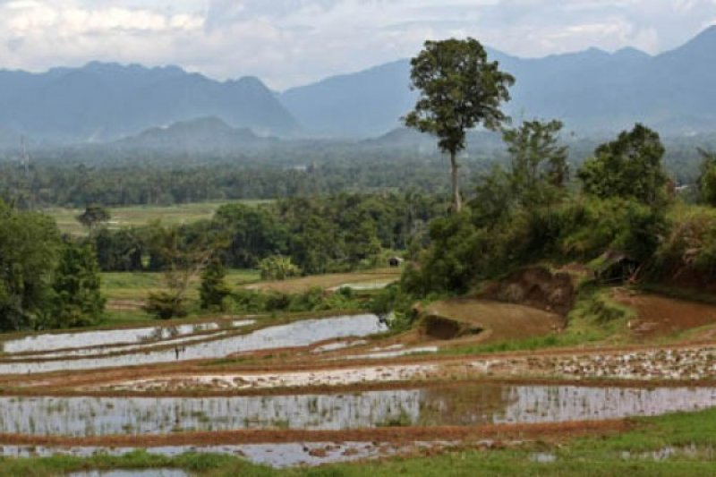 PUPUK BERSUBDI LANGKA