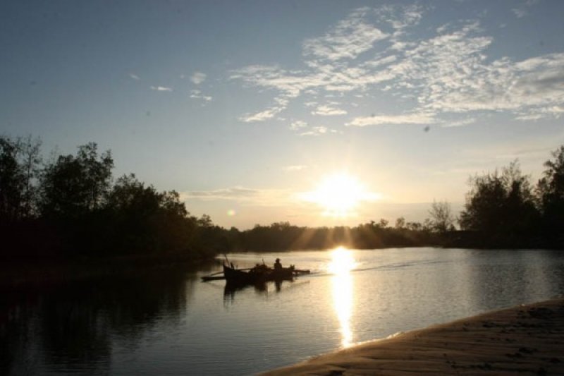 Produksi ikan di Pasaman Barat menurun