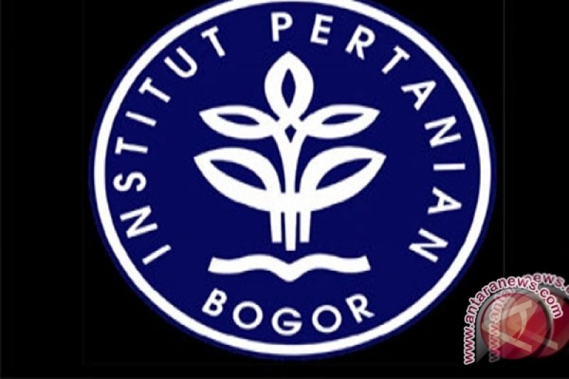Image Print