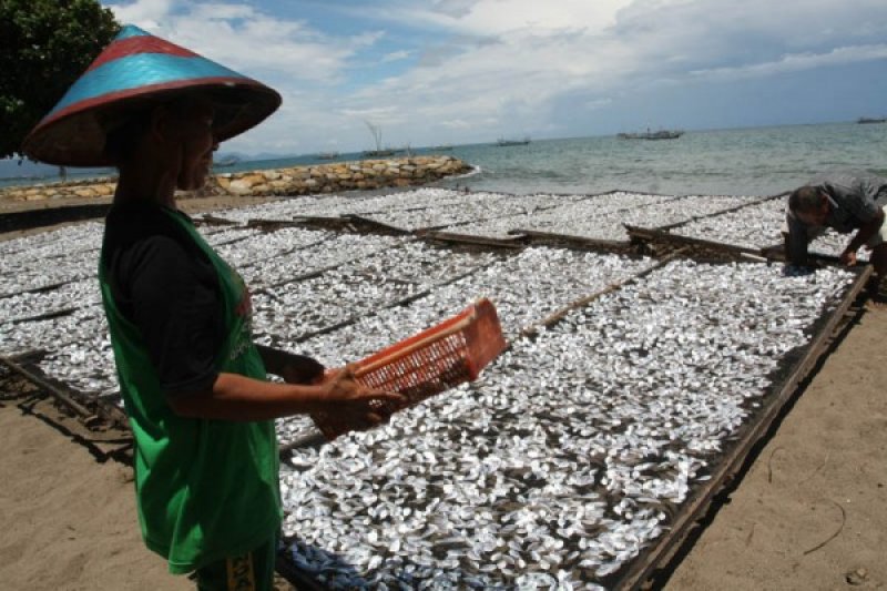 PERAN NELAYAN WANITA