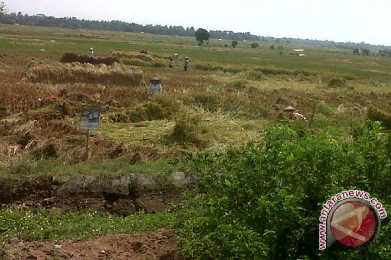 Walhi Ingatkan Kewajiban Laksanakan Reforma Agraria