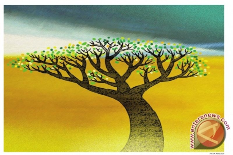 Image Print