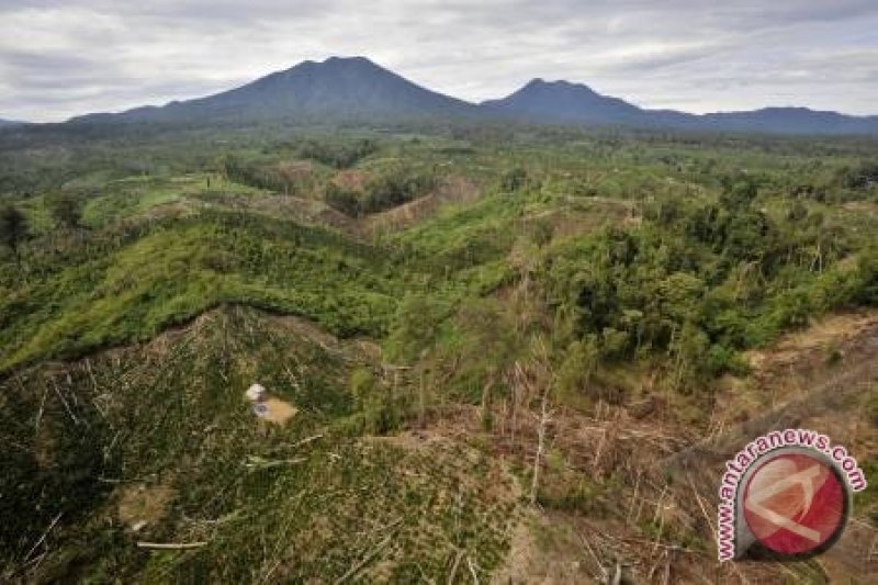 Kerusakan Hutan Indonesia Nomor Dua Di Dunia Antara News Yogyakarta Berita Terkini Yogyakarta 