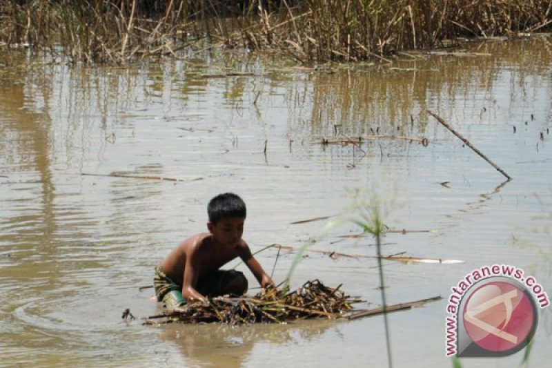 Bantu orang tua cabut rerumputan 