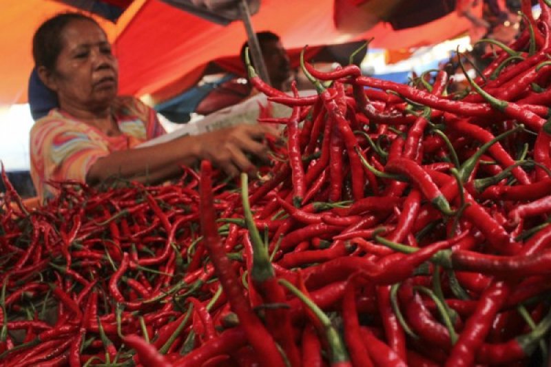 HARGA CABAI NAIK