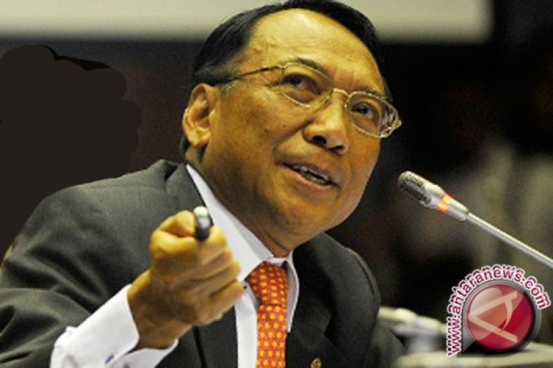 Menteri ESDM resmikan pembangkit limbah bambu