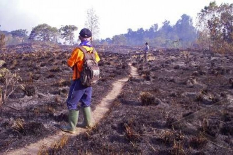 SISA KEBAKARAN RINJANI