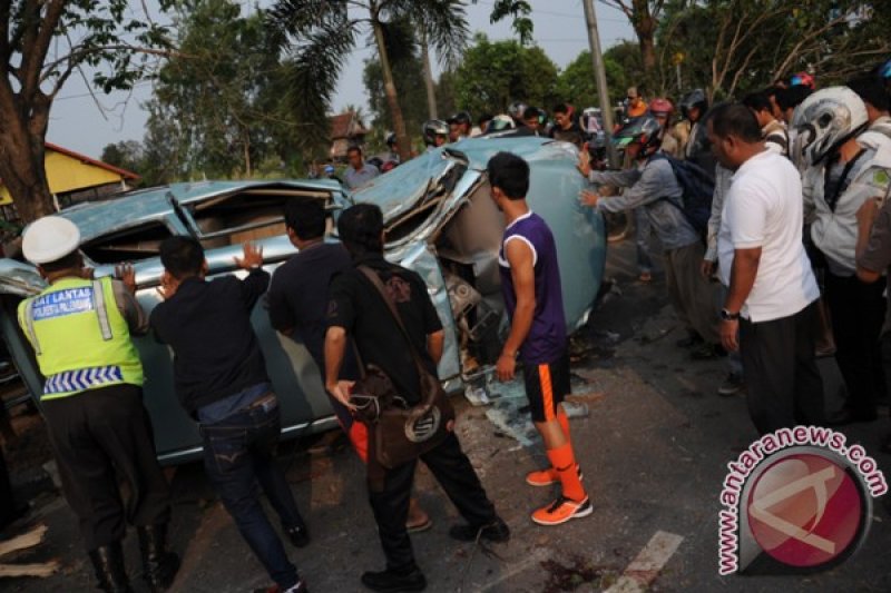 Minibus tabrak pohon