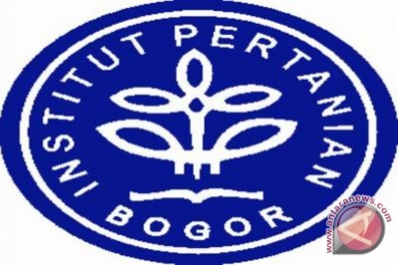 Image Print
