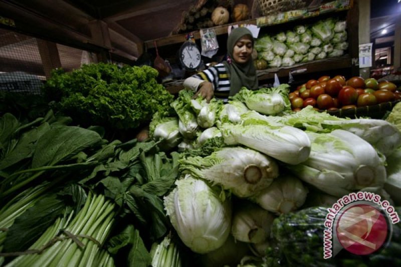 Harga sayuran naik