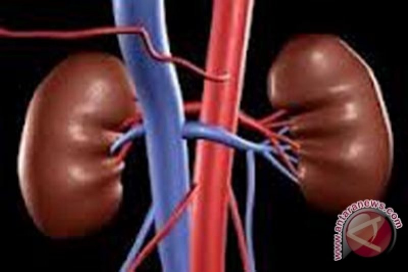 Kenali gejala gangguan ginjal pada anak