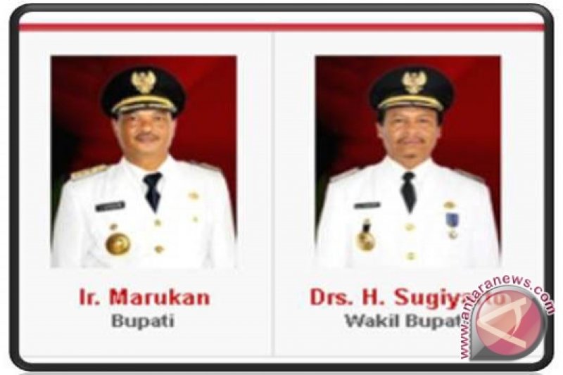 Bobo kelinini ohista sikadi