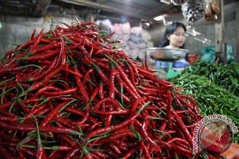 Harga Sayur Mayur Di Pangkalpinang Naik Antara News