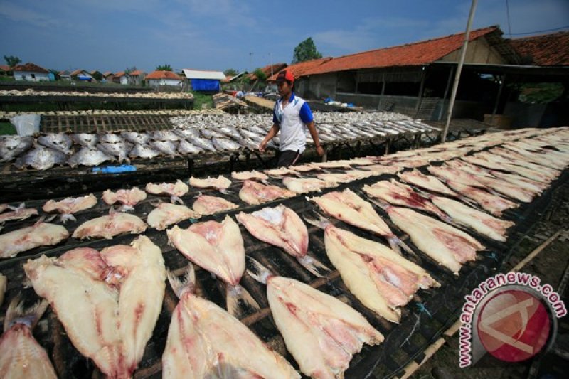 Produksi Ikan Asin