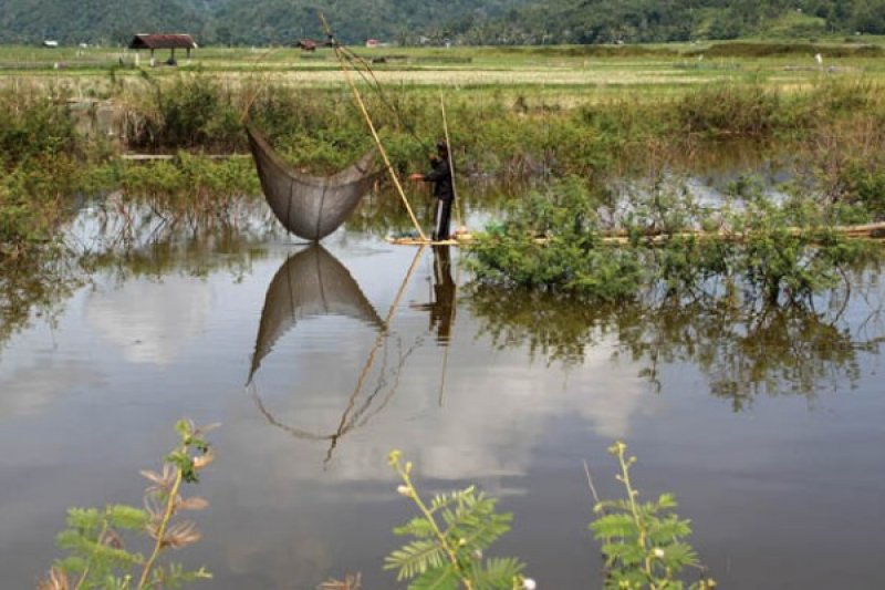 KEUNIKAN DANAU TARUSAN KAMANG