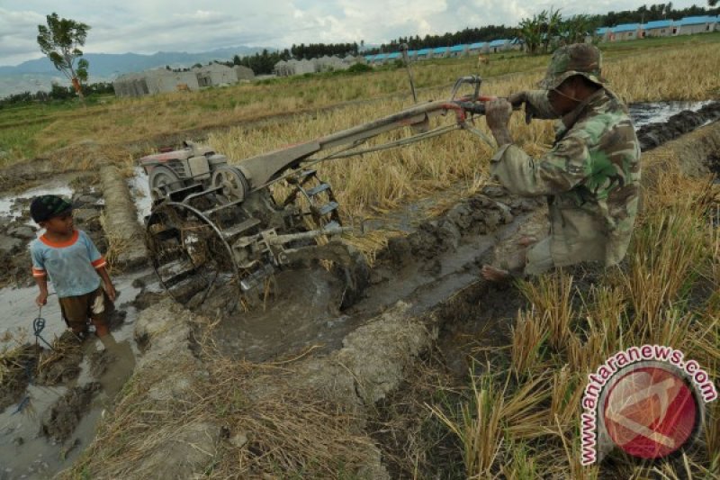 MEMBAJAK SAWAH