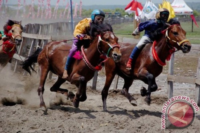 Balap Kuda Tradisional ANTARA News