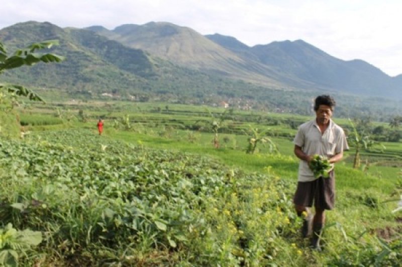 BPBD Garut: Gunung Guntur Rawan Bencana Alam