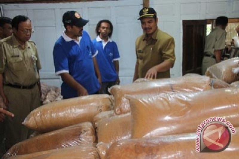Petani Kulon Progo kesulitan jual gula semut