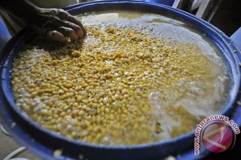 Perajin Tempe Mogok Produksi