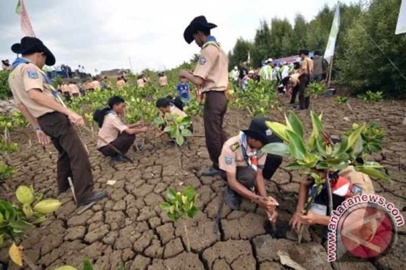 Penanaman Pohon Mangrove