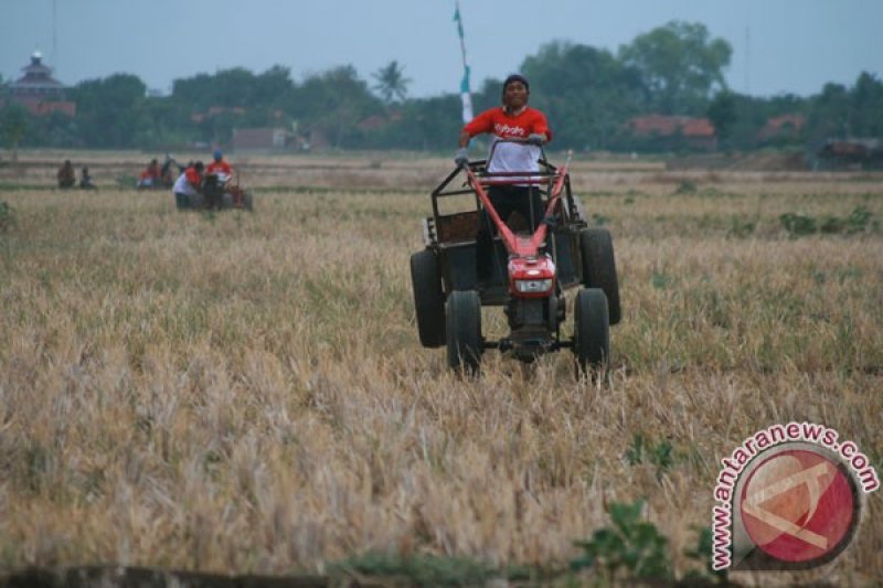 Balap Traktor Indramayu