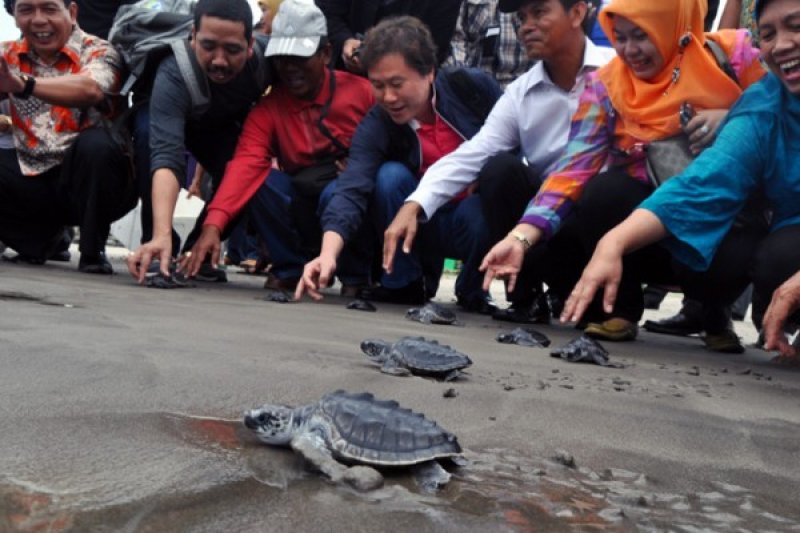 LEPAS TUKIK PARIAMAN