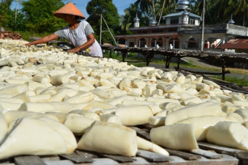 KESULITAN BAHAN BAKU