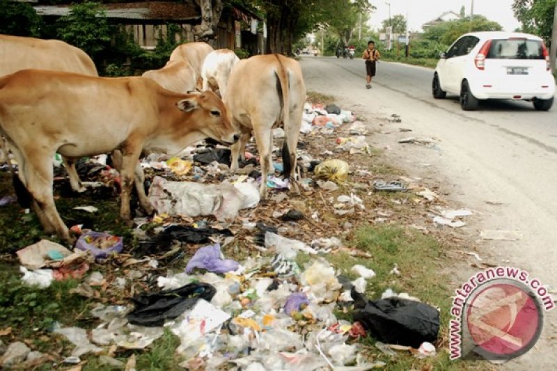 Sudut Kota Palu