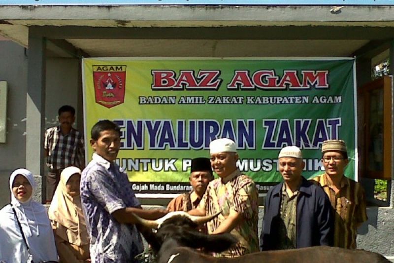 Penyerahan Bantuan Ternak Sapi