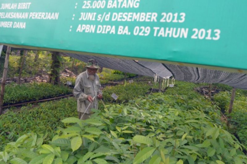 PEMANFAATAN KEBUN BIBIT RAKYAT