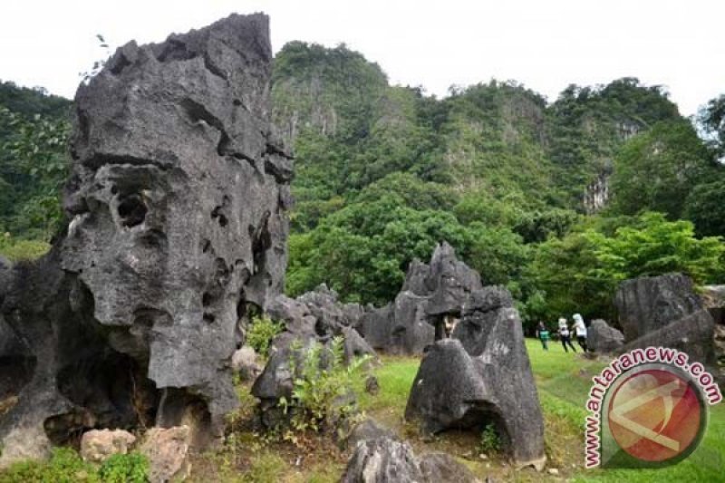 TAMAN PRASEJARAH LEANG-LEANG