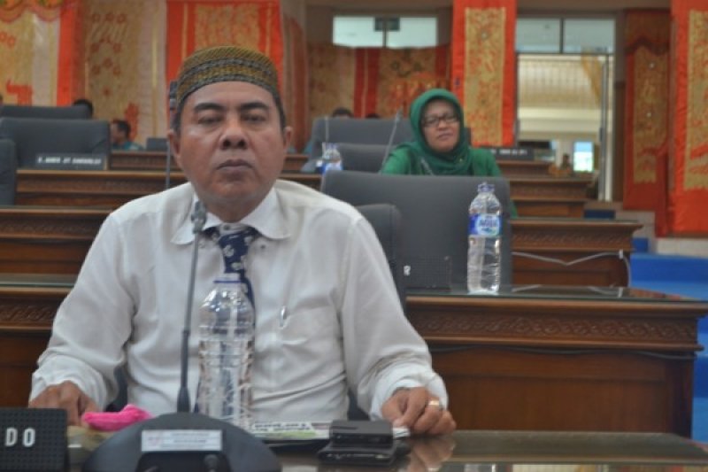 Ketua Pansus LKPJ Bupati 2013 Hamsuardi Hasibuan