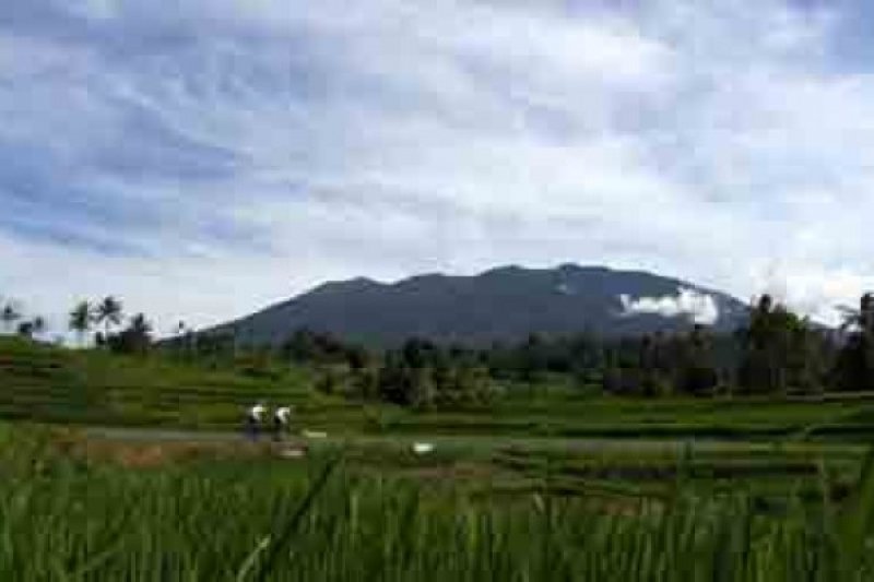 PEBALAP MELINTAS DI HAMPARAN SAWAH