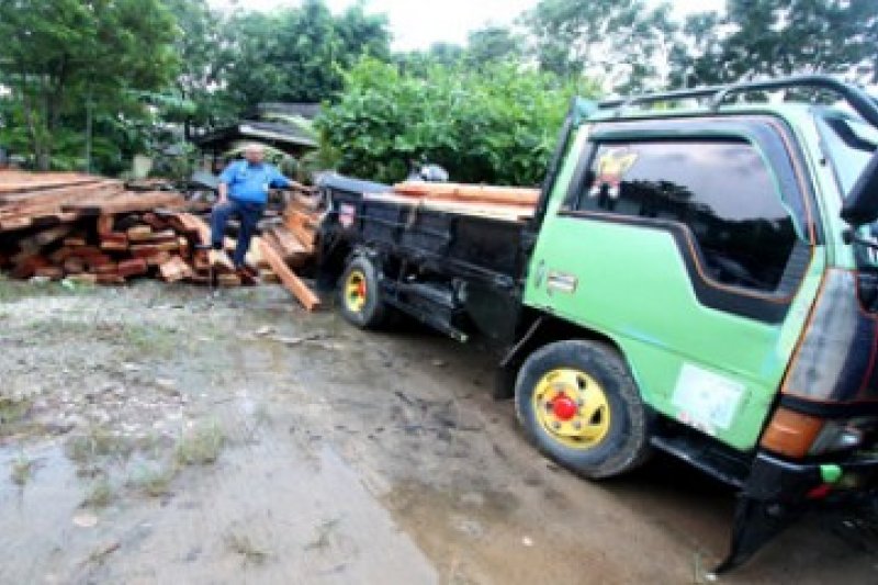 Pembalakan Hutan Batam/Joko Sulistyo