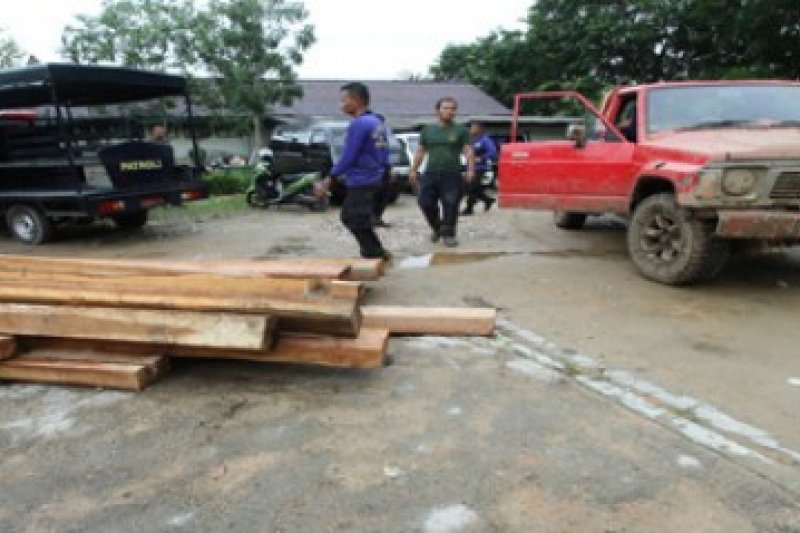 Sita Kayu Hasil Pembalakan Liar/Joko Sulistyo