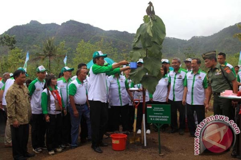 Presiden Menanam Pohon di Wonogiri