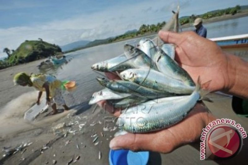 NELAYAN LABUAN LALAR