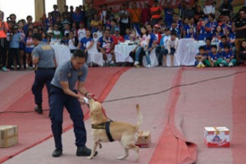 Simulasi Anjing Pelacak