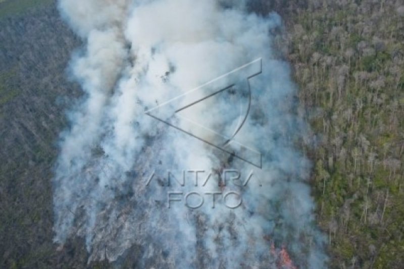 RIAU SIAGA DARURAT KEBAKARAN