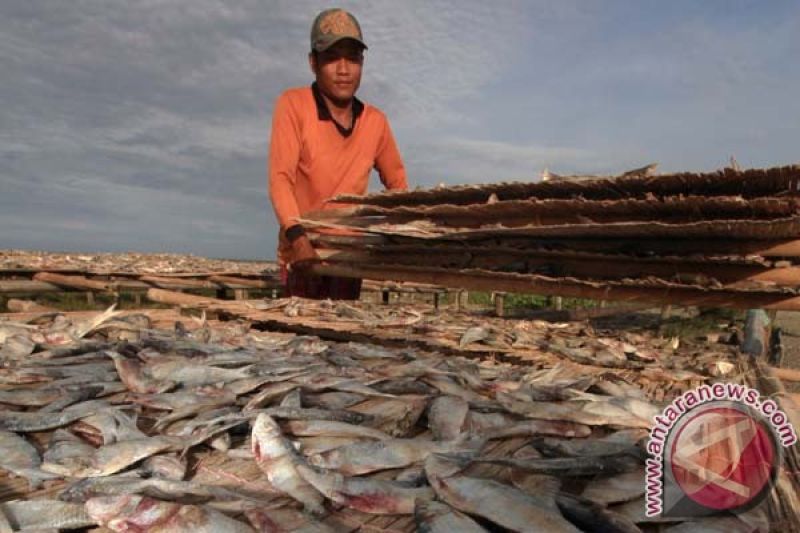 Produksi Ikan Asin Meningkat