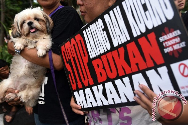 Siem Reap larang penjualan daging anjing