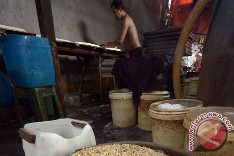 Harga Kedelai di Sulsel Stabil