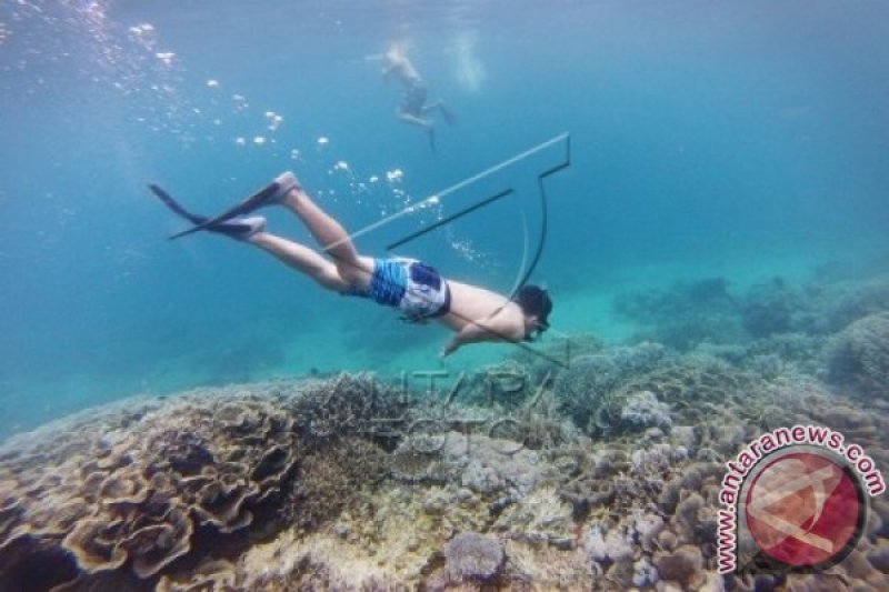 WISATA SNORKELING