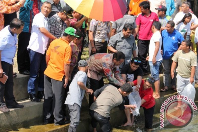 Tabur Benih Ikan Tawar