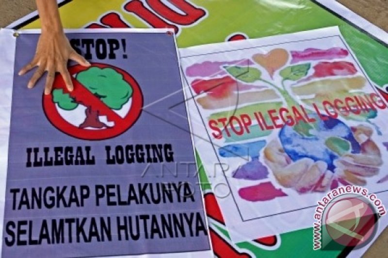 USUT PEMBALAKAN HUTAN