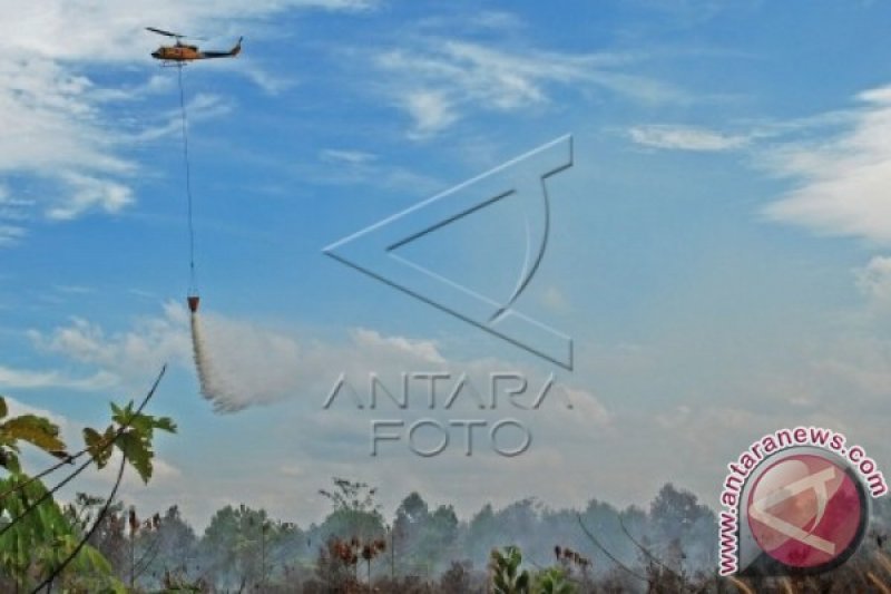 PEMADAMAN KEBAKARAN HUTAN