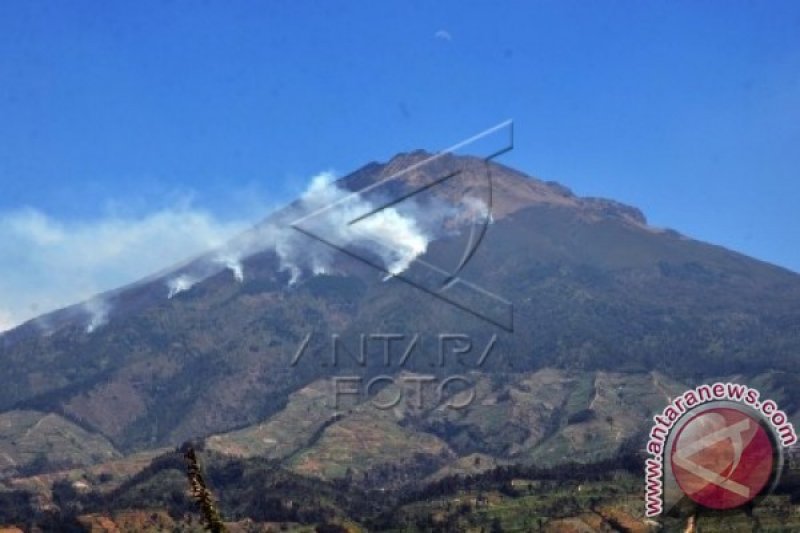 KEBAKARAN HUTAN GUNUNG SUMBING