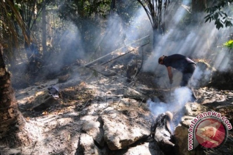 Kebakaran hutan di Pulau Bangka