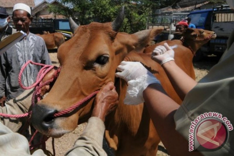 Kementan terbitkan surat edaran pelaksanaan ibadah kurban di situasi pandemi